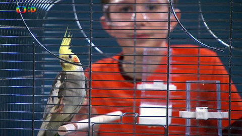 Terčin zvířecí svět - 16. února 2018