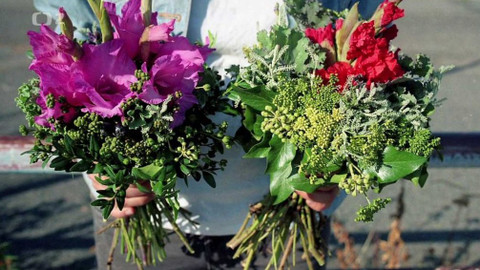 Folklorika - Quo vadis, folklor?