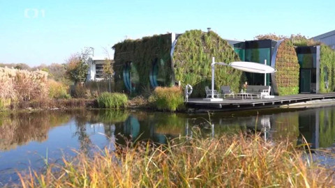 Gejzír - 19. listopadu 2019