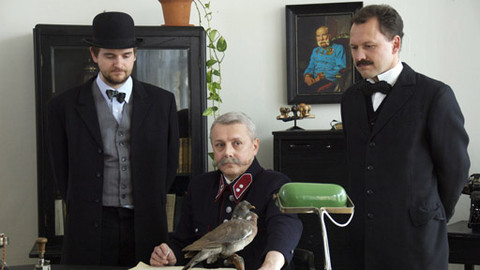 Záhady Toma Wizarda - Holubí špión