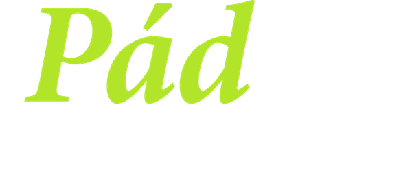 Pád mayských králů