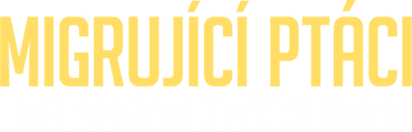 Migrující ptáci pohledem spoluletících kamer