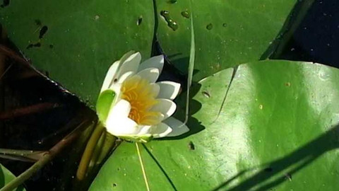 Objektiv - 15. července 2007