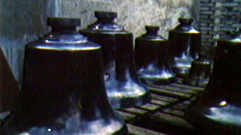 Za svědky minulosti - Tajemství thuje severské