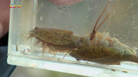 Terčin zvířecí svět - 4. března 2022