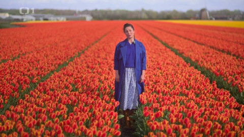 Herbář - 17. listopadu 2024