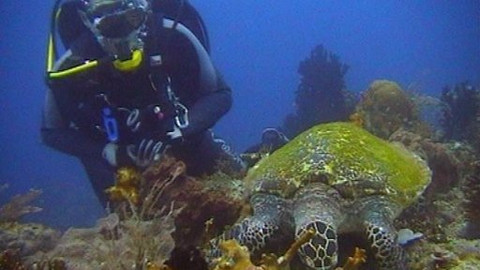 Objektiv - 25. listopadu 2007