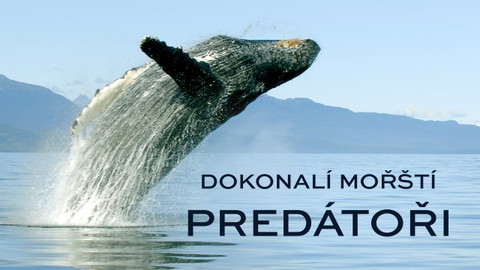 Dokonalí mořští predátoři