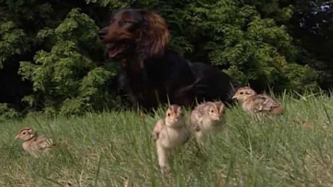 Kluci ze zámku - 3/7 V parku