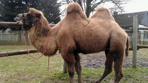 Máte mě! - 20. února 2011