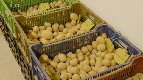 Co naše babičky uměly a na co my jsme zapomněli - Brambory a rajčata