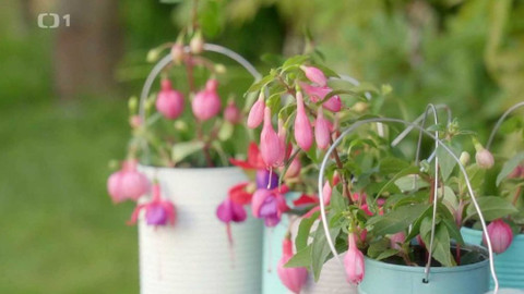 Všechno, co mám ráda - Epizoda 69/45