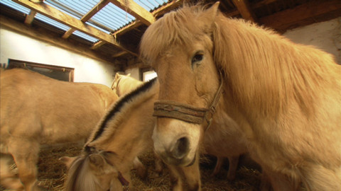 Chcete mě? - 29. března 2015