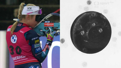 Světový pohár v biatlonu - Německo