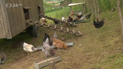 Regiony ČT24 - 27. května 2023