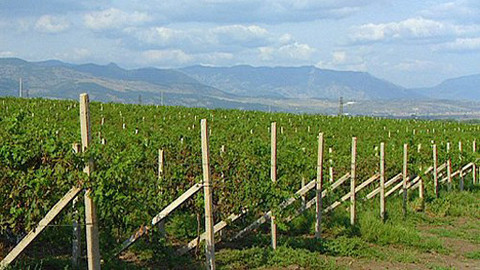 Putování za vínem - 6/16 Bulharsko II.