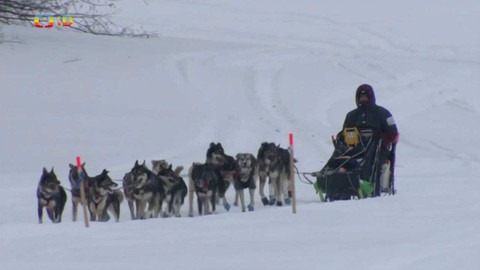 Zprávičky - 10. března 2022