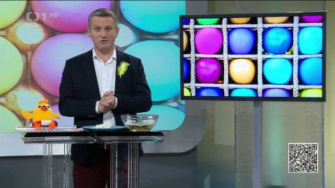 Pomozte dětem - 2/4 Denní vstup