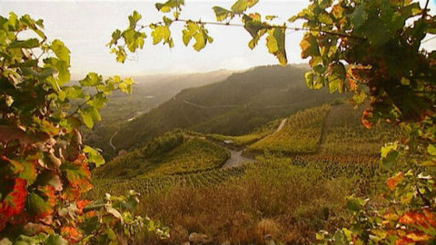 Putování za vínem - 6/15 Steiermark