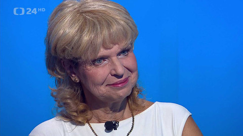 Interview ČT24 - 4. září 2024