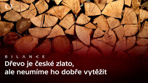 Bilance - Podcast: Proč je ČR se dřevem v pozici rozvojové země? A co s tím?