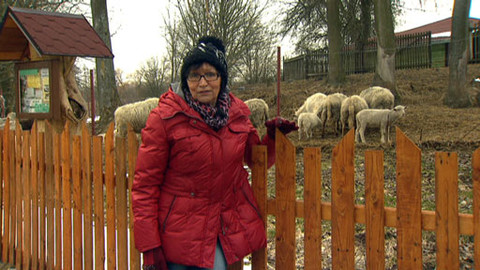 Chcete mě? - 7. dubna 2013