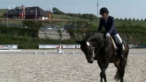 Jezdectví - M ČR v paradrezuře Královice