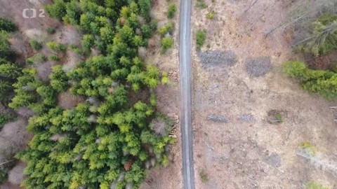 Nedej se! - Lesy bez budoucnosti?