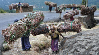 Na cestě po Hararsku