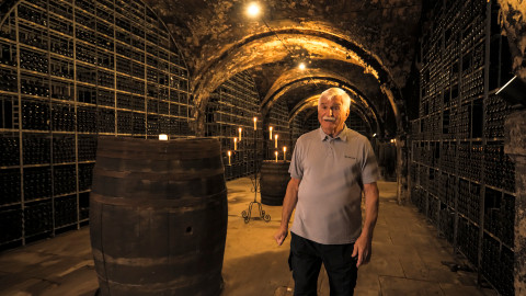 Vinorodé břehy - 1/7 Vinorodé břehy Rýna I