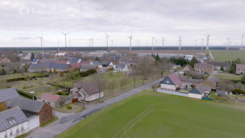 Dodejme si energii - 5/12 Feldheim