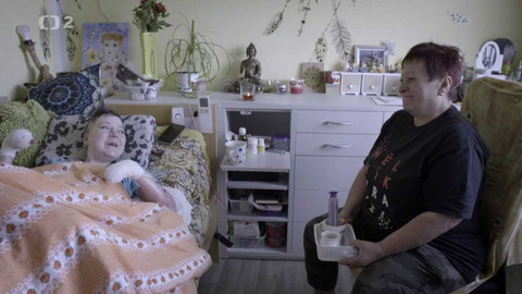 Život na křídlech motýlích