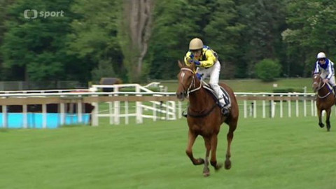 Turf - 3. června 2015