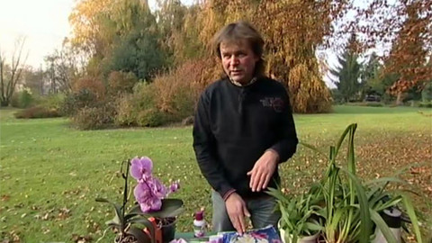 Zahrada pod lupou - 30. listopadu 2011