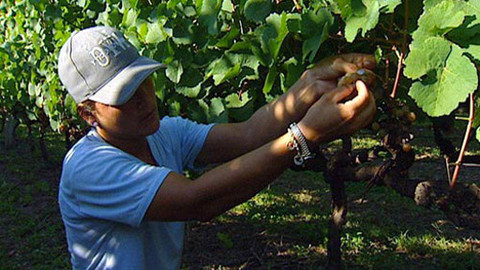 Putování za vínem - 16/16 Uruguay