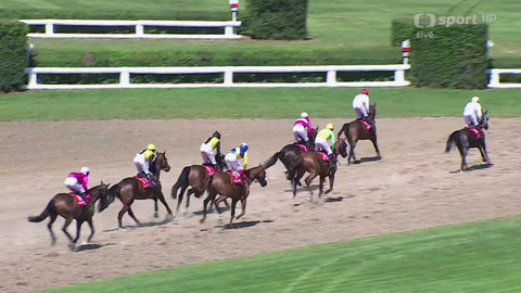 Velká pardubická - II. kvalifikace na 135. Velkou pardubickou se Slavia pojišťovnou