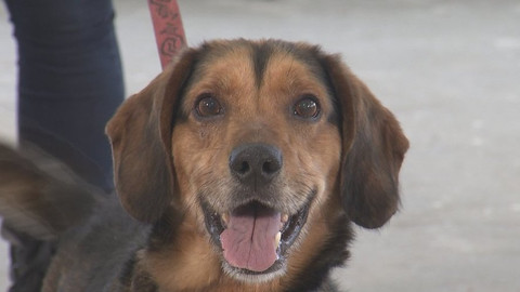 Chcete mě? - Chcete je?