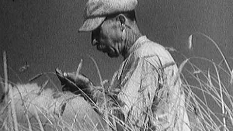 Hledání ztraceného času - Naše země