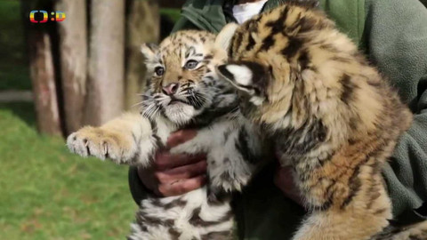 Zprávičky - 17. ledna 2022