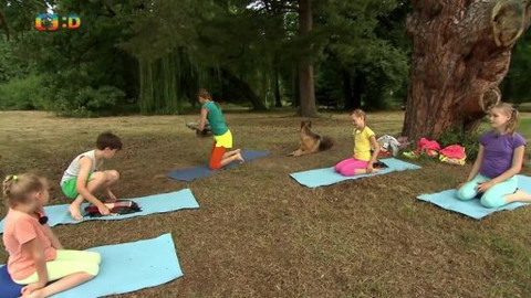 Jogínci v přírodě - Souboj králů