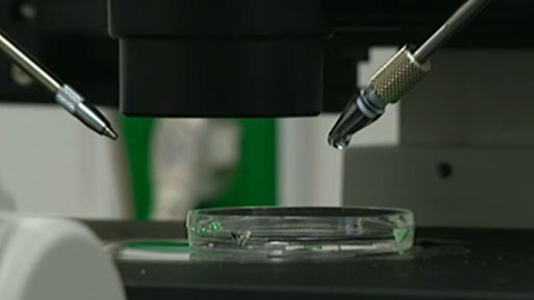 Tep 24 - 12. listopadu 2011