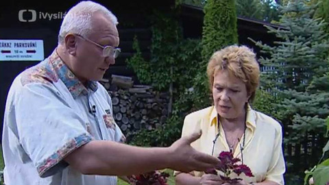 Dobrá rada nad zlato - 3. března 2007