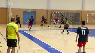 Televizní klub neslyšících