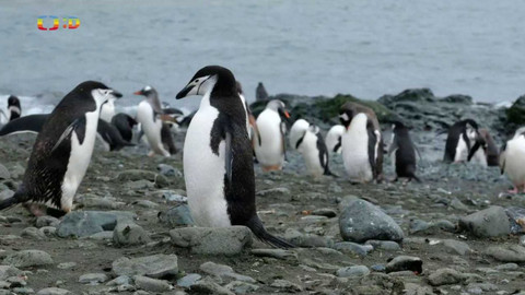 Terčin zvířecí svět - 13. května 2022