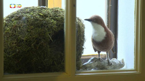 Zprávičky - 30. června 2020