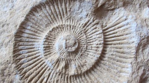 Tajný život skal - Skrytá moře naší země