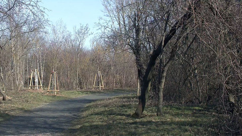 Nedej se! - Postav dům, zasaď strom