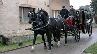 Muzeum koňských postrojů a kočárových lamp