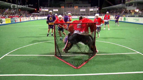 Lakros - Memoriál Aleše Hřebeského