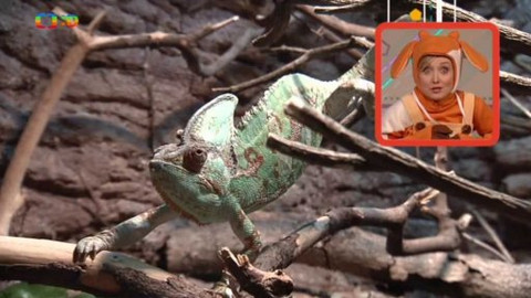 Telefon - 21. června 2015